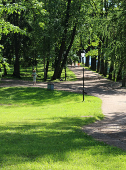 Дорожки в парке