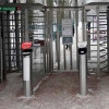 Все, что нужно знать об абонементах в Гатчинский Дворцовый парк в 2025 году