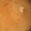 Грибок из чистых помещений NASA пережил гипотетический полет на Марс