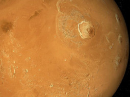 Грибок из чистых помещений NASA пережил гипотетический полет на Марс