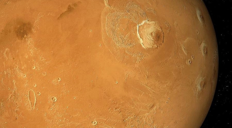 Грибок из чистых помещений NASA пережил гипотетический полет на Марс