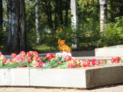 День памяти жертв блокады Ленинграда