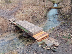 Самодельные мостики в усадьбе «Тайцы» вызвали общественный резонанс