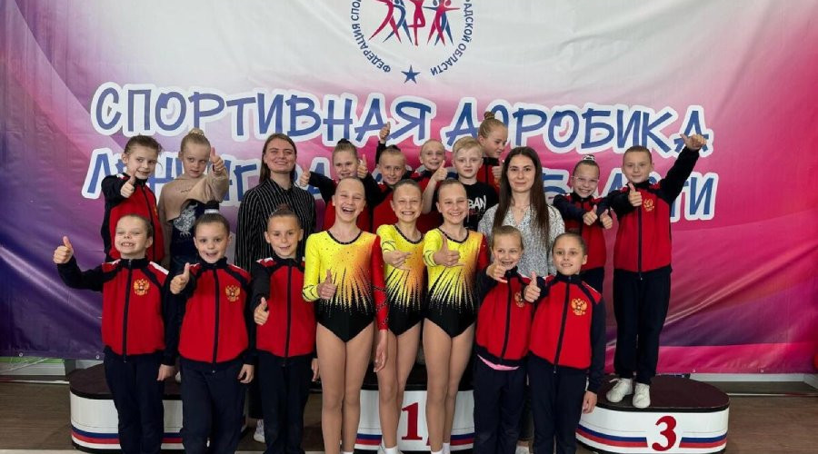 Награды по спортивной аэробике