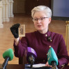 Дары к юбилею Гатчинского дворца