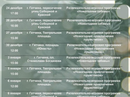 Новогодние игровые программы для детей в Гатчине с 24 декабря по 8 января