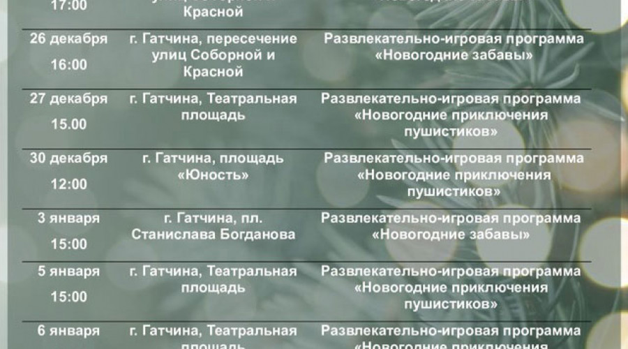 Новогодние игровые программы для детей в Гатчине с 24 декабря по 8 января