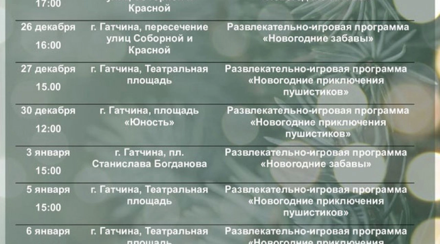 Новогодние игровые программы для детей в Гатчине с 24 декабря по 8 января