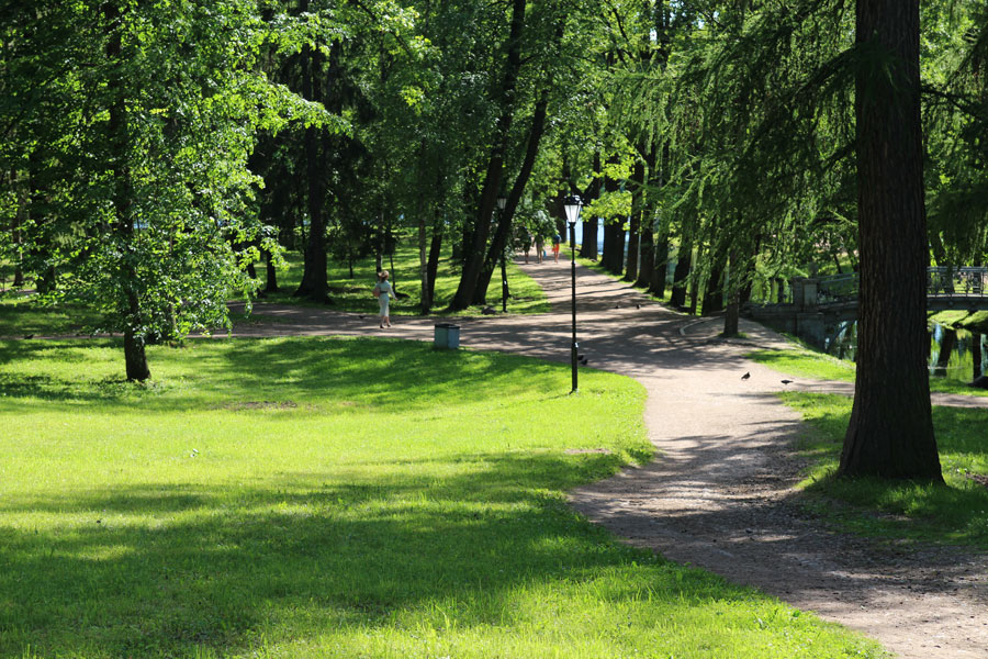Дорожки в парке